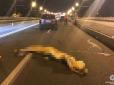Смертельна ДТП у Дніпрі: Lexus переїхав чоловіка і жінку, що перебігали дорогу на віадуку (фото, відео)