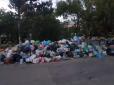 Кримчани в шоці: У мережі показали сміттєвий колапс окупованого Сімферополя (фотофакт)