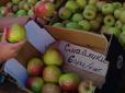 Усміхнені яблука: Вінницький фермер вражає творчим підходом до роботи