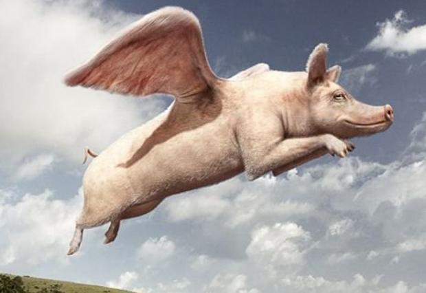 Якщо вживати багато кокаїну від "Єдиної Росії", то і свині будуть літати? Ілюстрація: соцмережі.