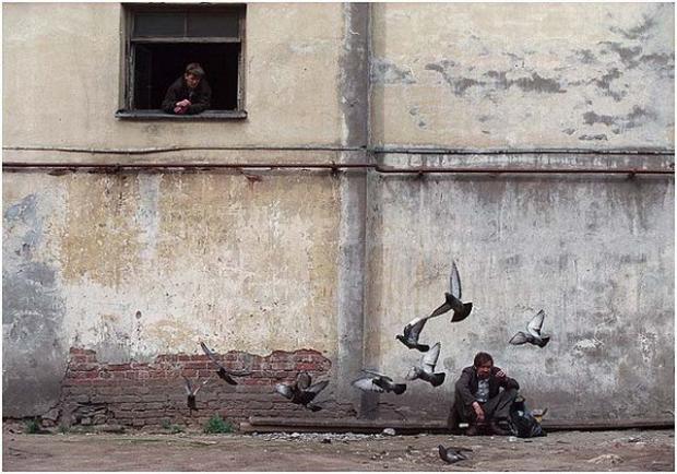 Годування голубів. Санкт-Петербург, 2001. 