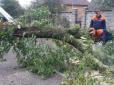 Будьте обережні: На Львівщині через негоду гілка дерева вбила людину (фото)