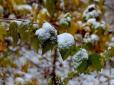 Коли в Україні випаде перший сніг: Синоптики озвучили прогноз