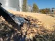 Засипало кукурудзою вулицю і городи: На Сумщині вибухнув елеватор (фото, відео)