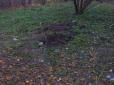 Таємнича могила дитини в парку Києва: Поліція з'ясувала, що сталося (фото)