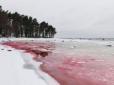 Наче кров: В Естонії вода на одному з пляжів стала яскраво-червоною (фотофакт)