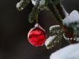 Чи чекати справжнього свята: Синоптик розповіла, де в новорічну ніч в Україні пройде сніг