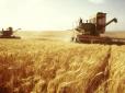 АПК набирає обертів: Україна зібрала найбільший врожай зернових за всю свою історію