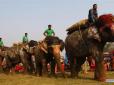 ​У Непалі відбувся традиційний конкурс краси серед слонів (фотофакти)