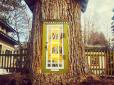 Магія своїми руками: Жінка перетворила старе мертве дерево на бібліотеку для сусідів (відео)