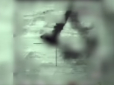 Знищено вісім батарей ППО: З'явилося відео потужного удару по російській зброї в Сирії (відео)