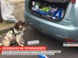 $30 тисяч: Британські контрабандисти оголосили винагороду за голову поліцейського собаки (відео)