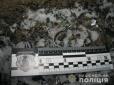 Моторошна трагедія: На Харківщині чоловік підірвав себе гранатою на цвинтарі (фото)