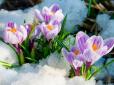 Синоптики розповіли, коли в Україні почнеться справжня весна
