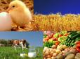 Україна посилює свою аграрну міць: Продукцію українського АПК купують у 190 країнах світу (відео)