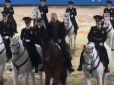Х**ло перелякалося?  Путіна прокатав кінь задом наперед (відео)