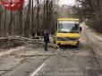 Будь ласка, будьте уважні і обережні: У Києві негода ламає дерева та зупиняє громадський транспорт