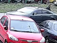 Виніс... бетонну клумбу: ​Київський таксист обурив мережу нахабною крадіжкою (відео)
