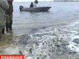Чи вбереже рибоохоронний патруль? У Дніпро запустили три тонни риби (відео)