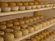 Елітні сири родом з Полтавщини: У Калівці запустять потужний завод з виробництва напівтвердих і твердих сирів
