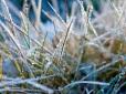 В Україну йдуть заморозки і сніг: Синоптики попередили про серйозне похолодання
