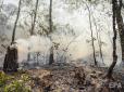 Вертоліт російського виробництва розбився ﻿під час гасіння лісової пожежі в Мексиці
