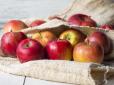 Хіти тижня. 10 причин, чому вам слід їсти яблука