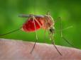 Під прицілом кровососи: Український стартап розробив пристрій для знищення самок комарів