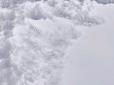 Танення льодовиків в Антарктиді: Вчені виявили дивні крижані стовпи і крижані сходи (фото)
