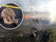 Загинули унікальні тварини і птахи: На Одещині сталася пожежа в природному парку (фото)