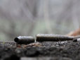 Війна триває: На Донбасі під обстрілами загинув військовий ЗСУ