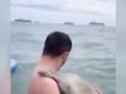Діти такі... діти: Маленький тюлень приплив до людей і почав обіймати їх (відео)