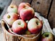 Яблучний Спас 2022: Чого не можна робити на Преображення Господнє 19 серпня