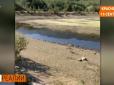 Вода для Криму: У мережі показали відео екокатастрофи на окупованому півострові