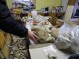 Найдавніша знахідка, вражає! В Україні археологи виявили зуб мамонта, якому 300 тис. років (фото)