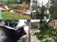 Негода розійшлася не на жарт: На Львівщині ураган виривав дерева з корінням та перекидав авто (фото, відео)