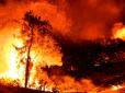 Відома терористична організація зізналася у підпалах лісів у Туреччині
