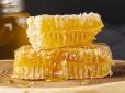 В Україні злетіли ціни на мед: Скільки просять за літр
