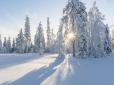 Хіти тижня. Ударять 30-градусні морози! Синоптики дали детальний прогноз на зиму в Україні