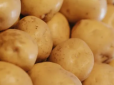 Ще один удар по кишені! Українців попередили про подорожчання картоплі: Експерт розповів, коли зростуть ціни