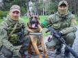 Готується служити у ЗСУ: Пес із Росгвардії за місяць вивчив команди українською мовою