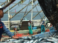Помста за санкції: Росія заборонила японським рибалкам ловити рибу біля Курильських островів