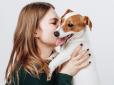 Є один секрет: Вчені розповіли, чому собаки стали найкращими друзями людей