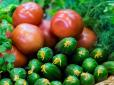 Зібралися підгодовувати томати та огірки? Обов'язково прочитайте, які популярні підживлення несумісні (відео)