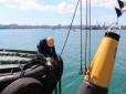 Морські порти Одеси, Чорноморська і Південного відновили свою роботу після 5-місячної перерви
