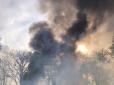 Вогонь перекинувся на територію РФ: На Сумщині внаслідок російського обстрілу загорівся ліс