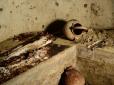 Із замком на нозі: Археологи у Польщі знайшли могилу жінки-вампіра (фото)