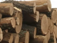 Рекордний ажіотаж на дрова став новим полем для шахрайства: Як вберегтись і купити 