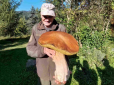 Оце так пощастило! У Карпатах знайшли гриб-гігант, який важить 3 кілограми (фото)