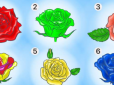 Як визначити характер людини за допомогою троянди. Секрети психології